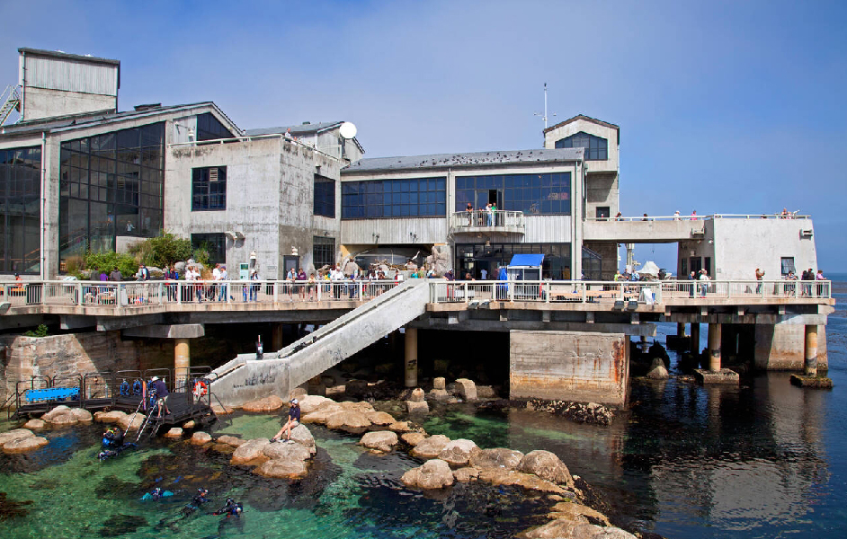 Best-places-to-visit-in-march-in-USA_Monterey