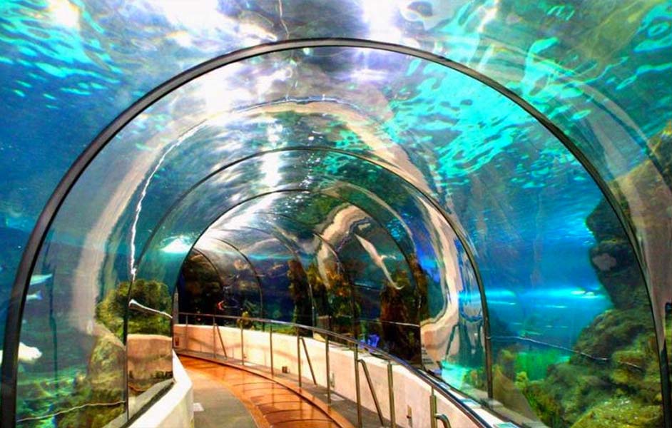 What To Do When You’re In Valencia - Oceanarium in Valenciaia