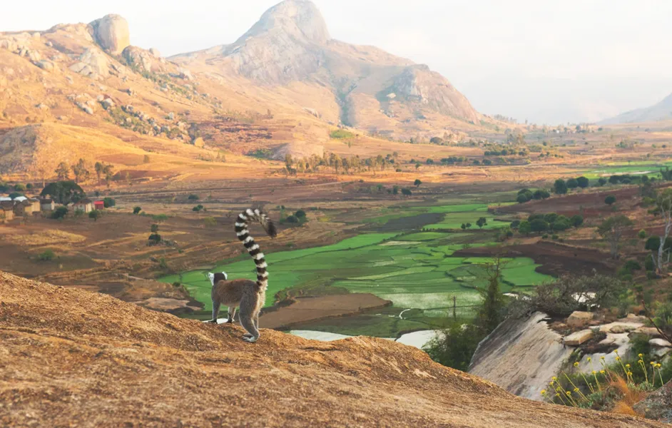 Madagascar