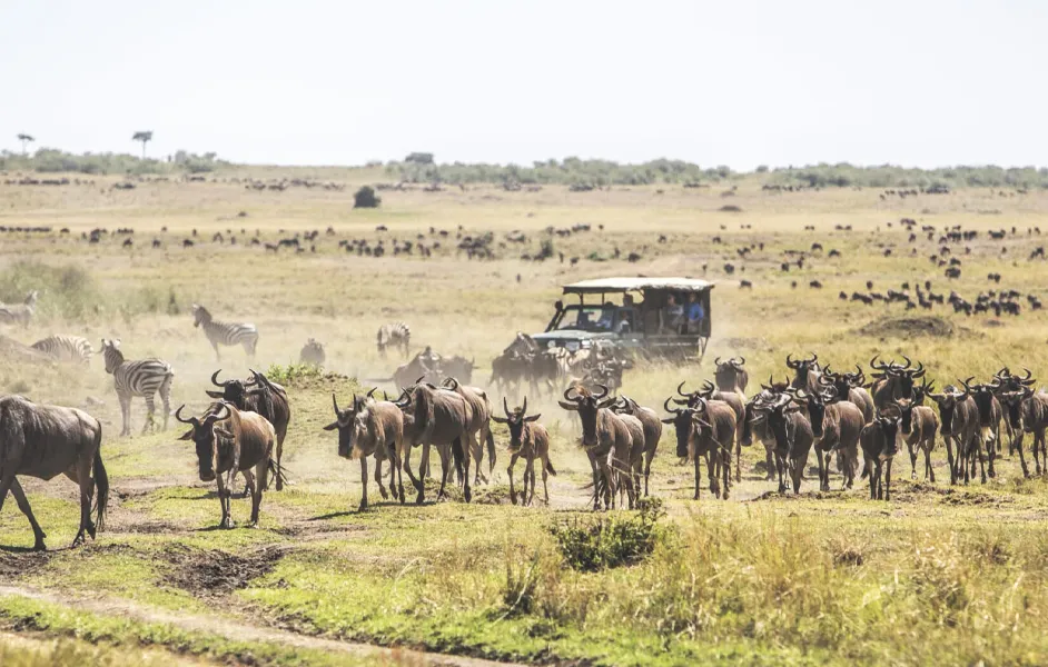 Top Things to Do in Masai Mara in August
