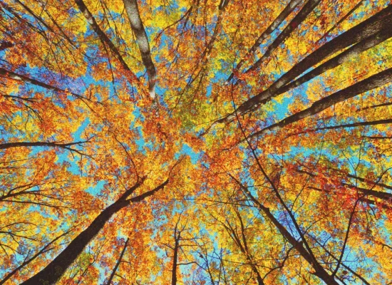 best-places-to-visit-in-october