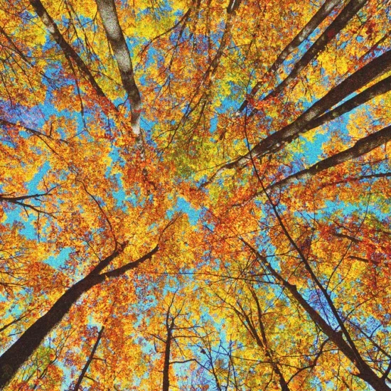 best-places-to-visit-in-october