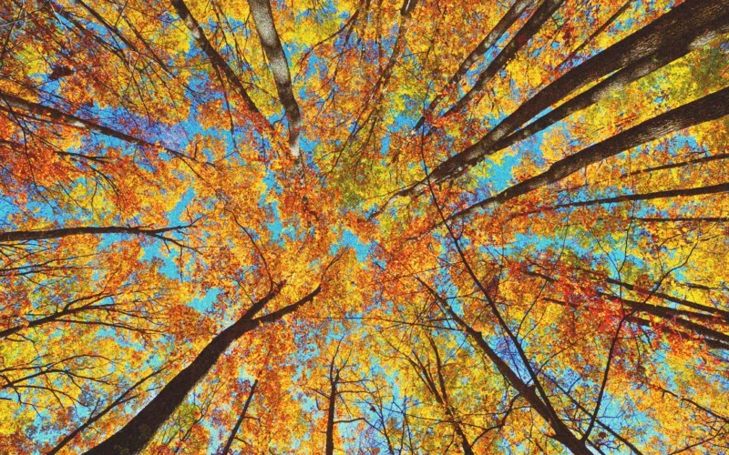 best-places-to-visit-in-october