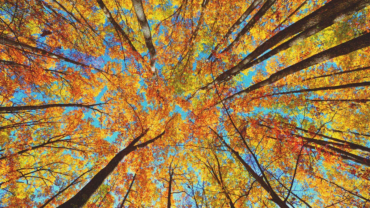 best-places-to-visit-in-october