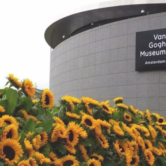 van gogh museum tickets for today