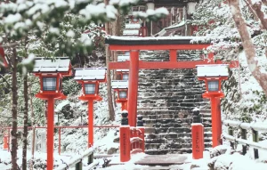 Kyoto temple pathway in winter light