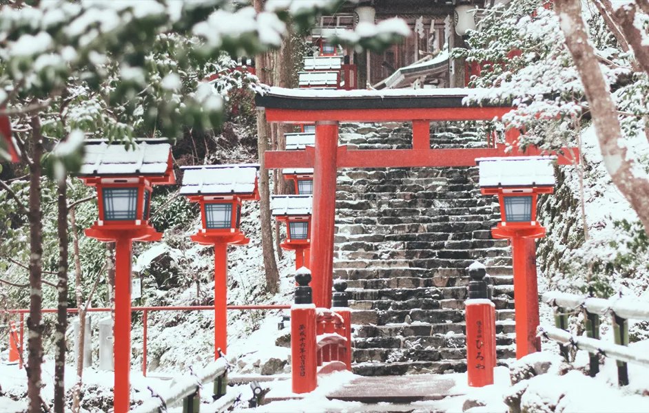 Kyoto temple pathway in winter light