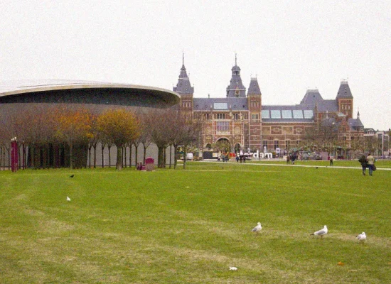 Van Gogh and Rijksmuseum Tickets